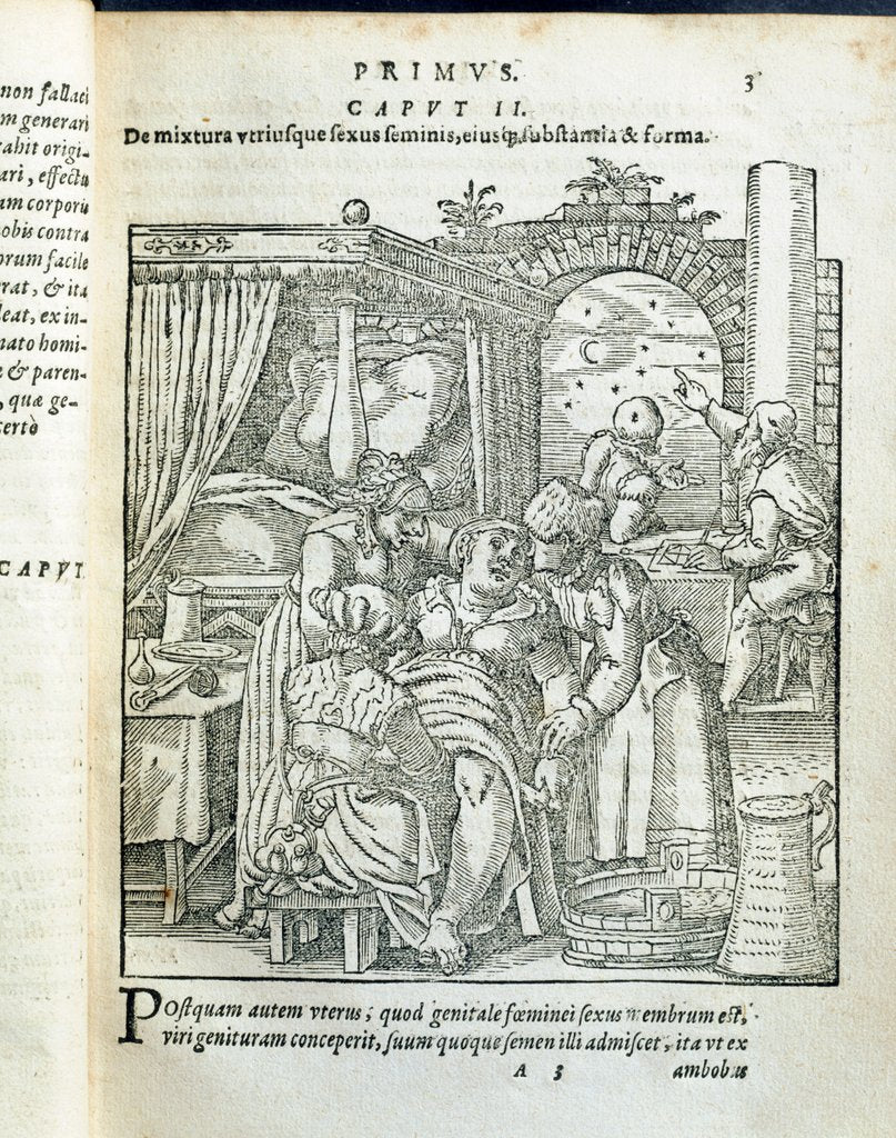 Detail of The birthing chamber by Jacobus Rueff