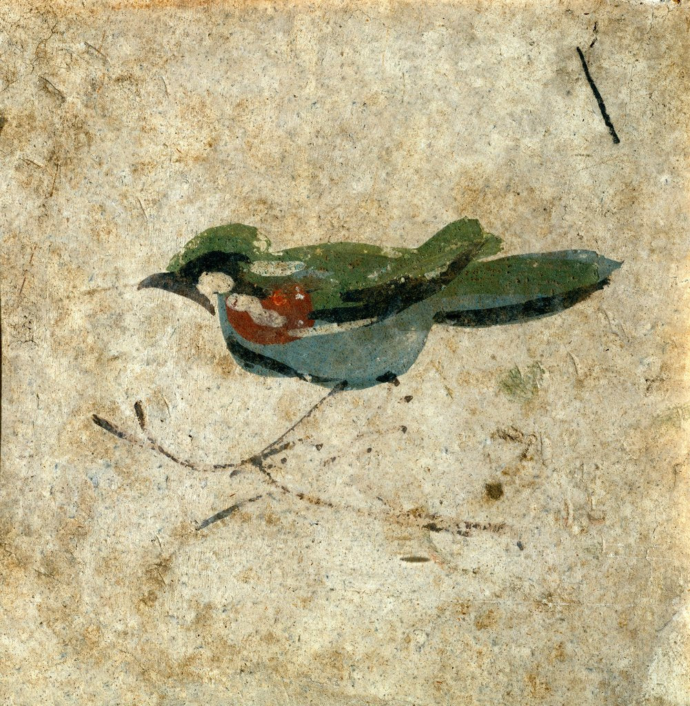 Detail of Bird on a branch. Pozzuoli, Italy, 2nd century by Unknown