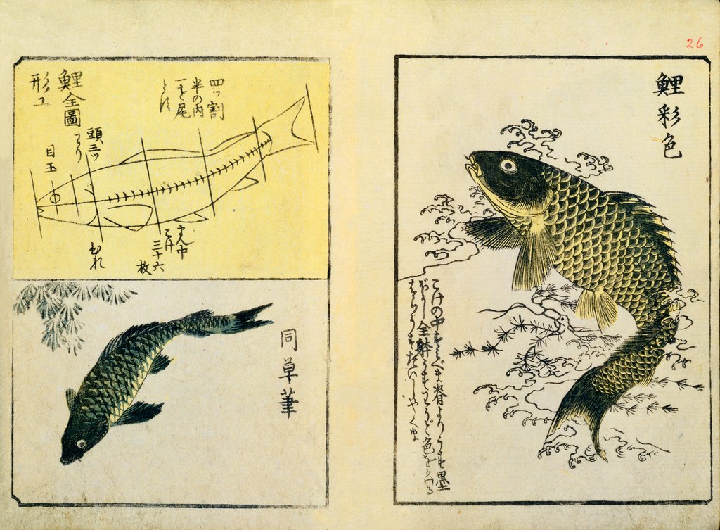 Detail of Swimming Carp by Ichiryusai Hiroshige