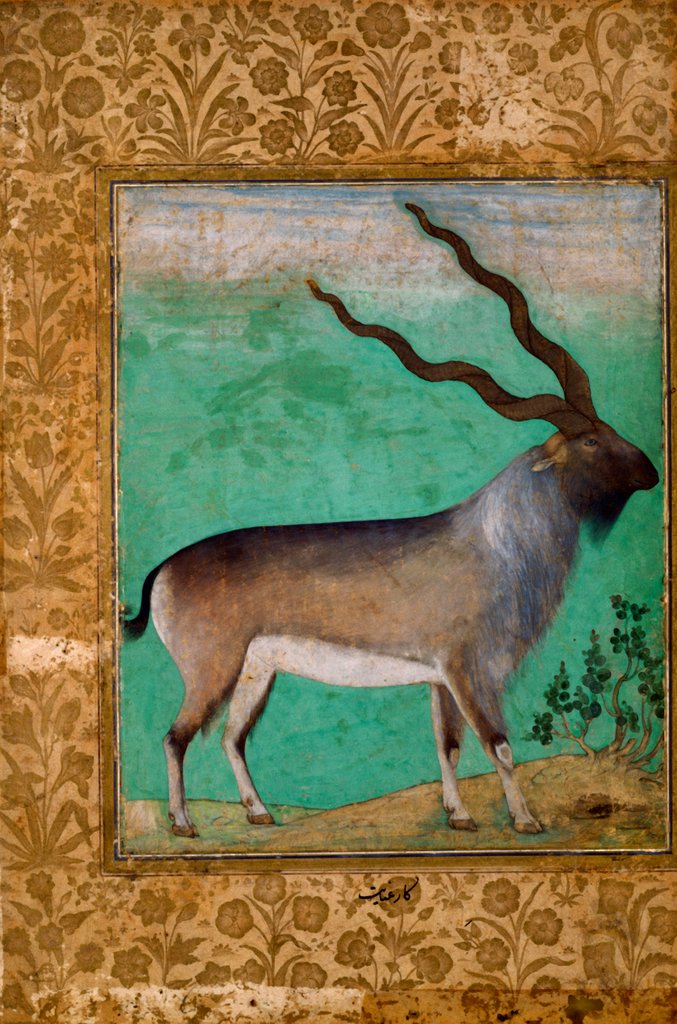 Detail of The markhur by Inayat
