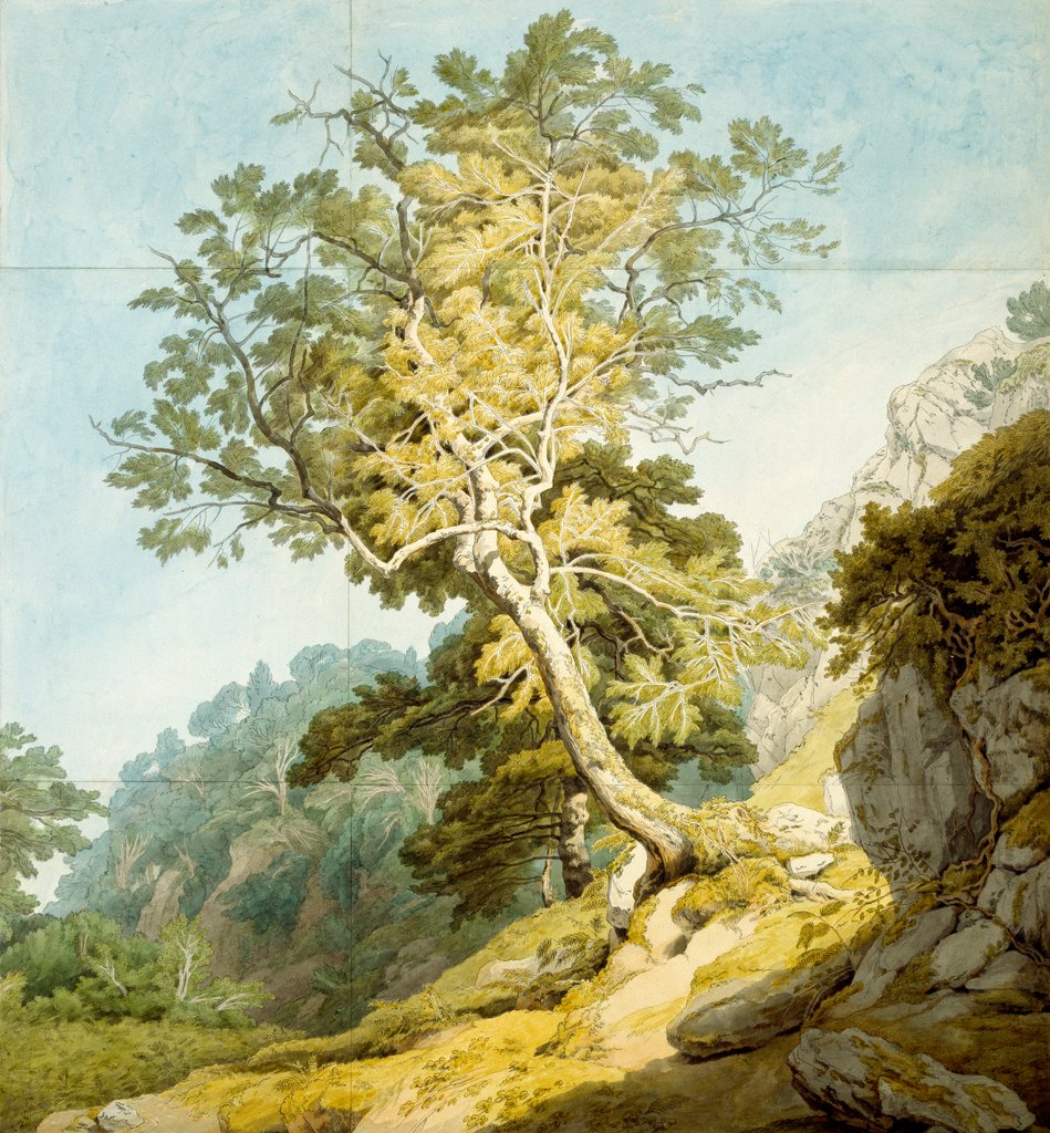 Detail of View near Camonteign, Devon by John White Abbott