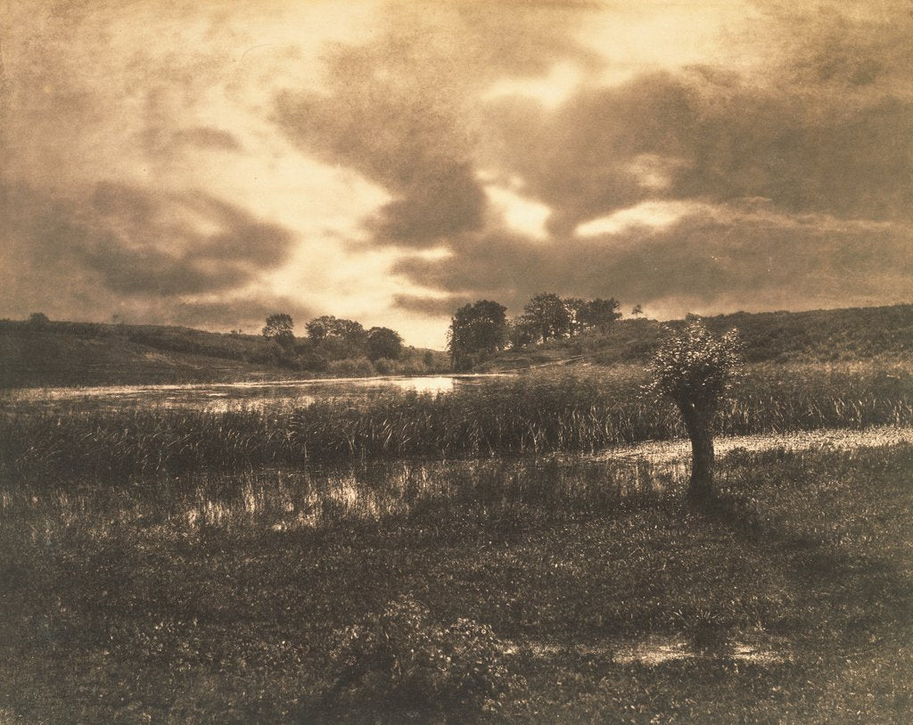 Detail of The Ponds at Obtevoz by Andre Giroux