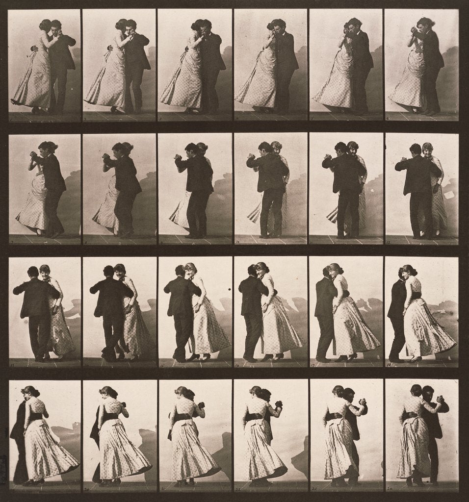 Detail of Animal Locomotion by Edward Muybridge