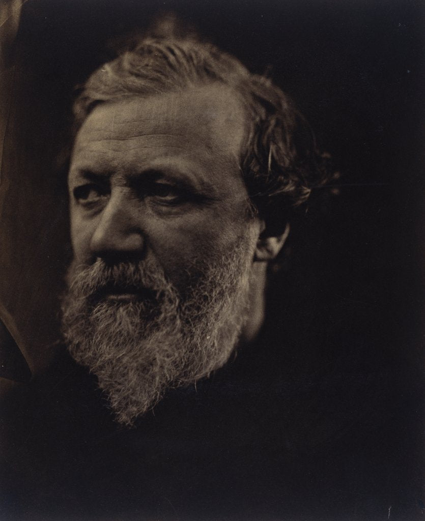 Detail of Robert Browning by Julia Margaret Cameron