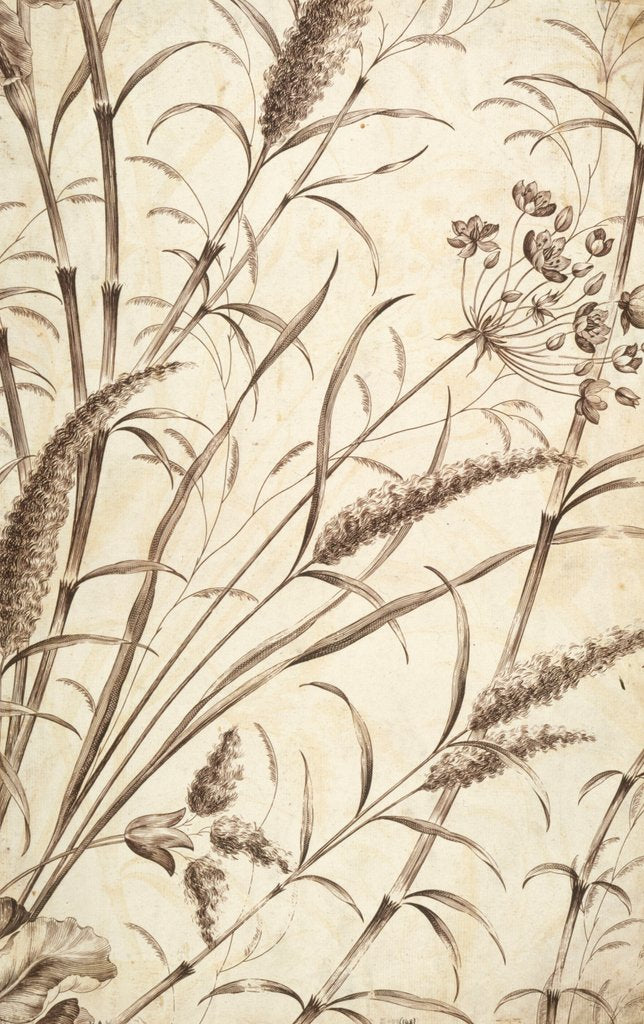Detail of Printed textile. England, 18th-19th century by Unknown
