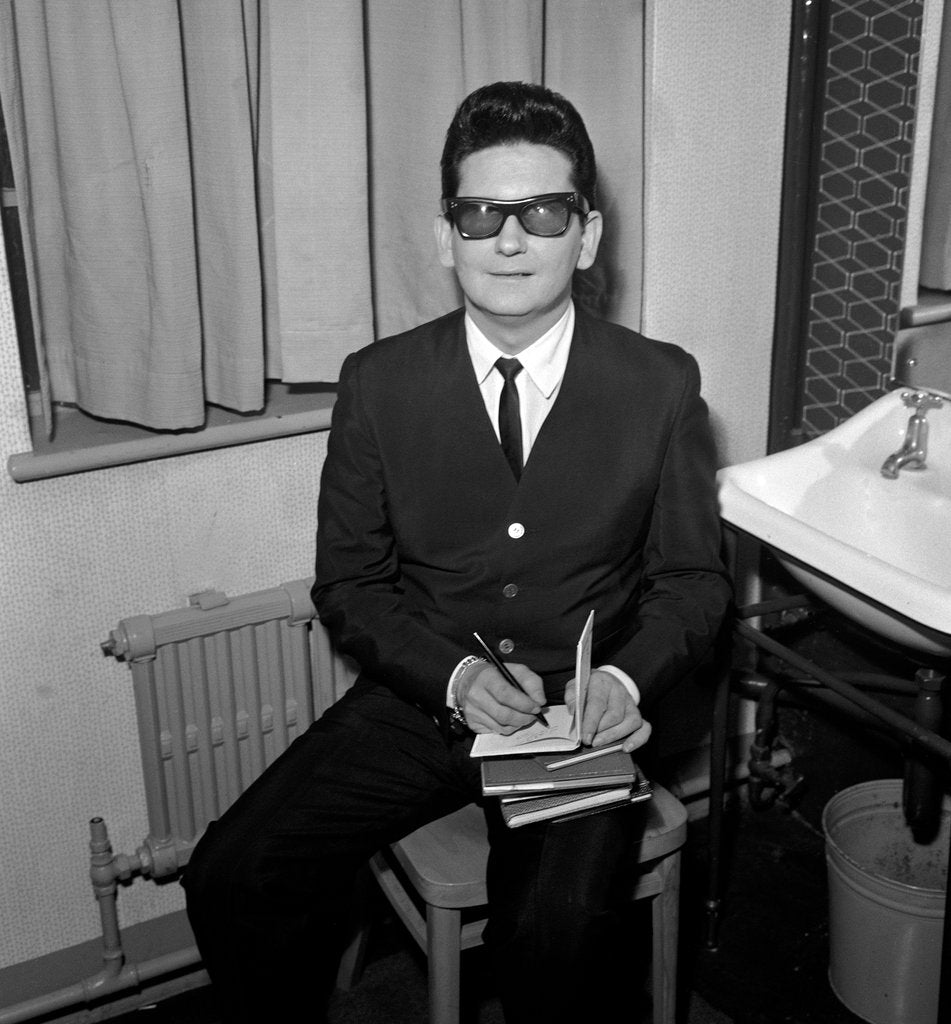 Detail of Roy Orbison by Harry Hammond
