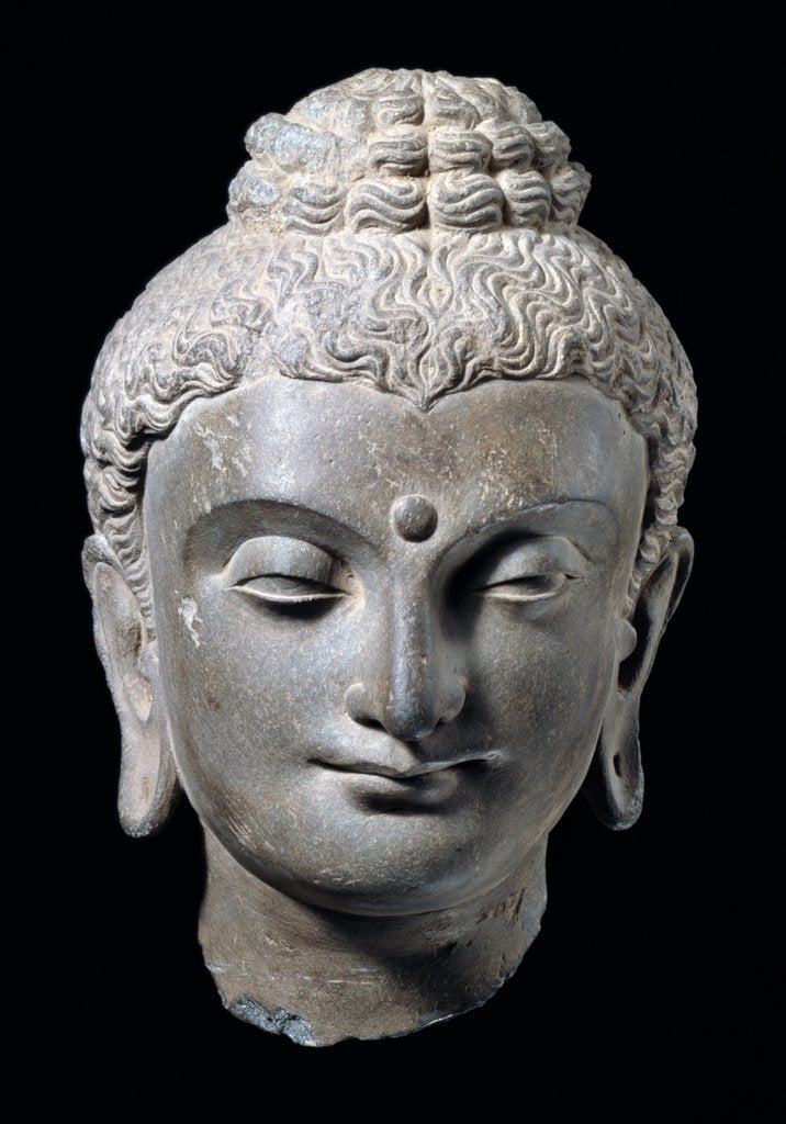Detail of Head of Buddha. N.W. India 3rd-5th century by Unknown