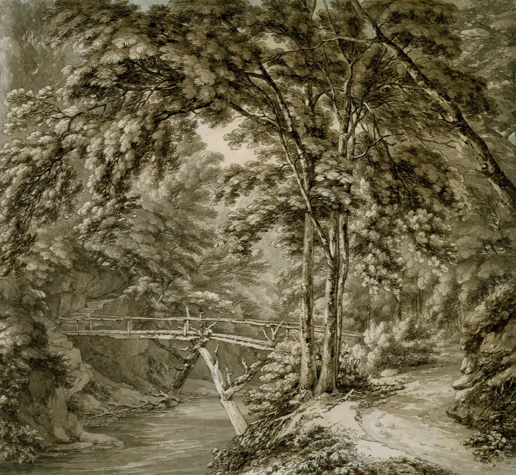 Detail of The river Teme at Downtown, Herefordshire by Thomas Hearne