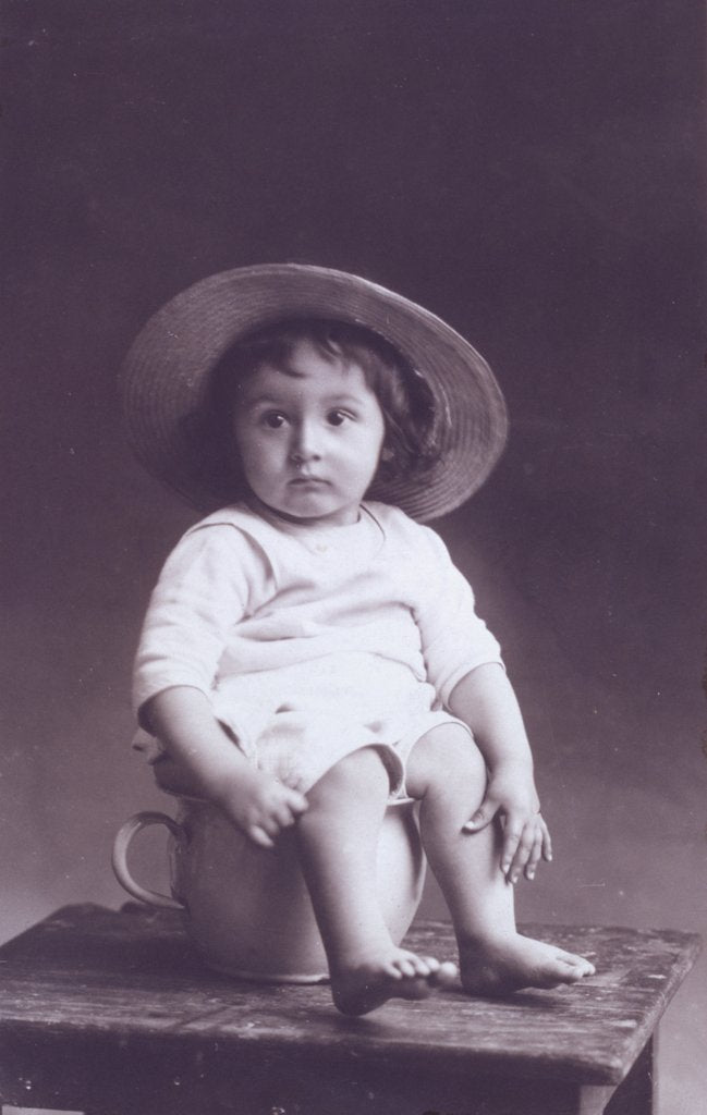 Detail of Baby on a Potty by Unknown