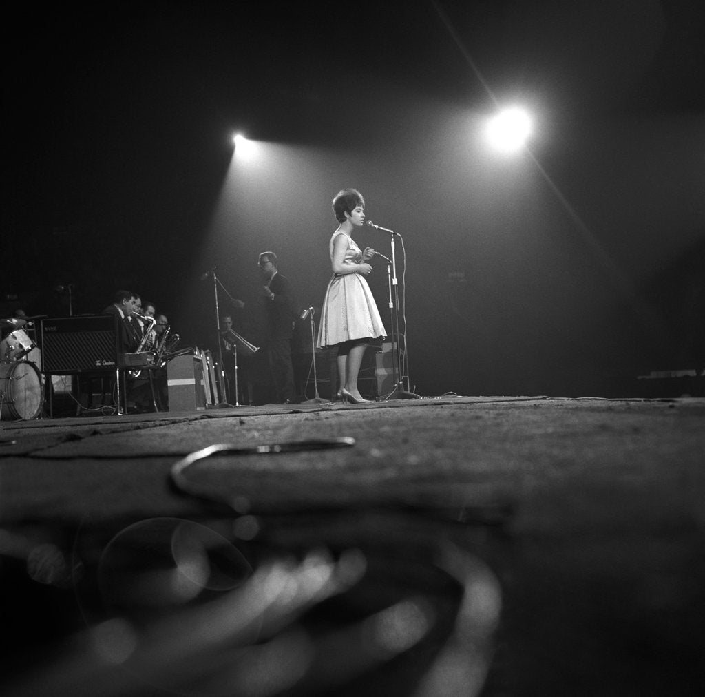 Detail of Helen Shapiro by Harry Hammond