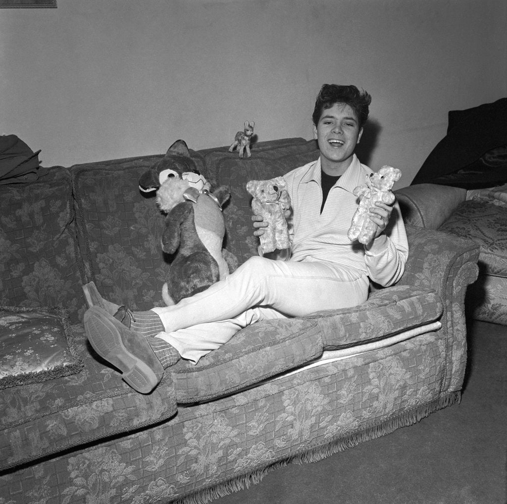 Detail of Cliff Richard on a sofa with soft toys by Harry Hammond