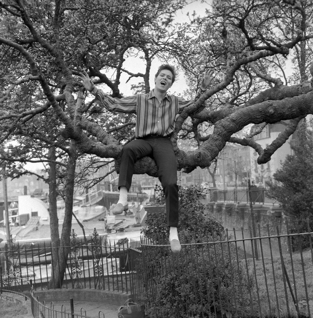 Detail of Cliff Richard singing on a tree by Harry Hammond