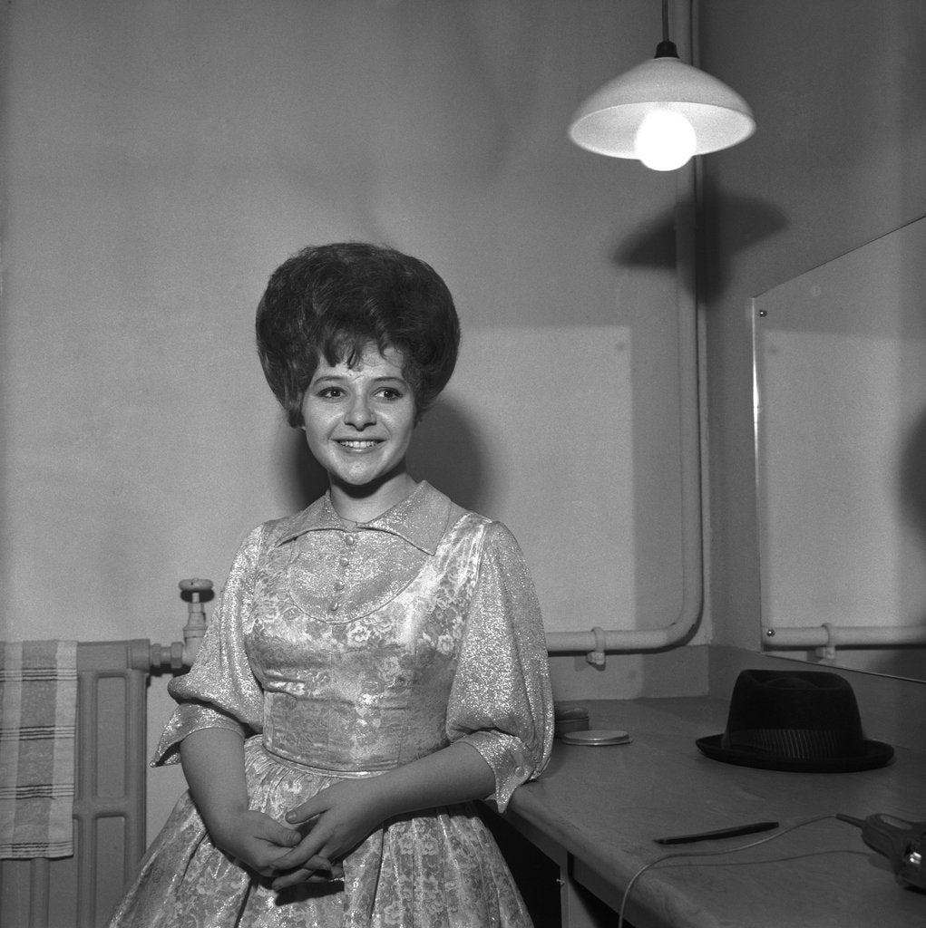 Detail of Brenda Lee by Harry Hammond