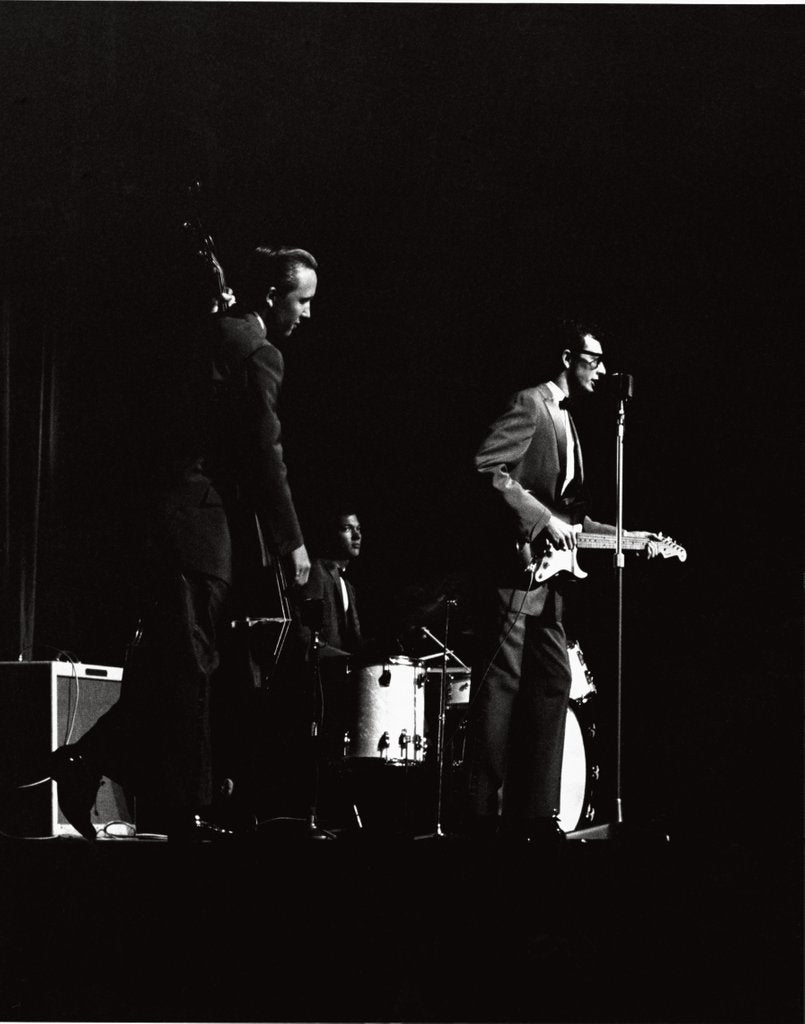 Detail of Buddy Holly by Harry Hammond