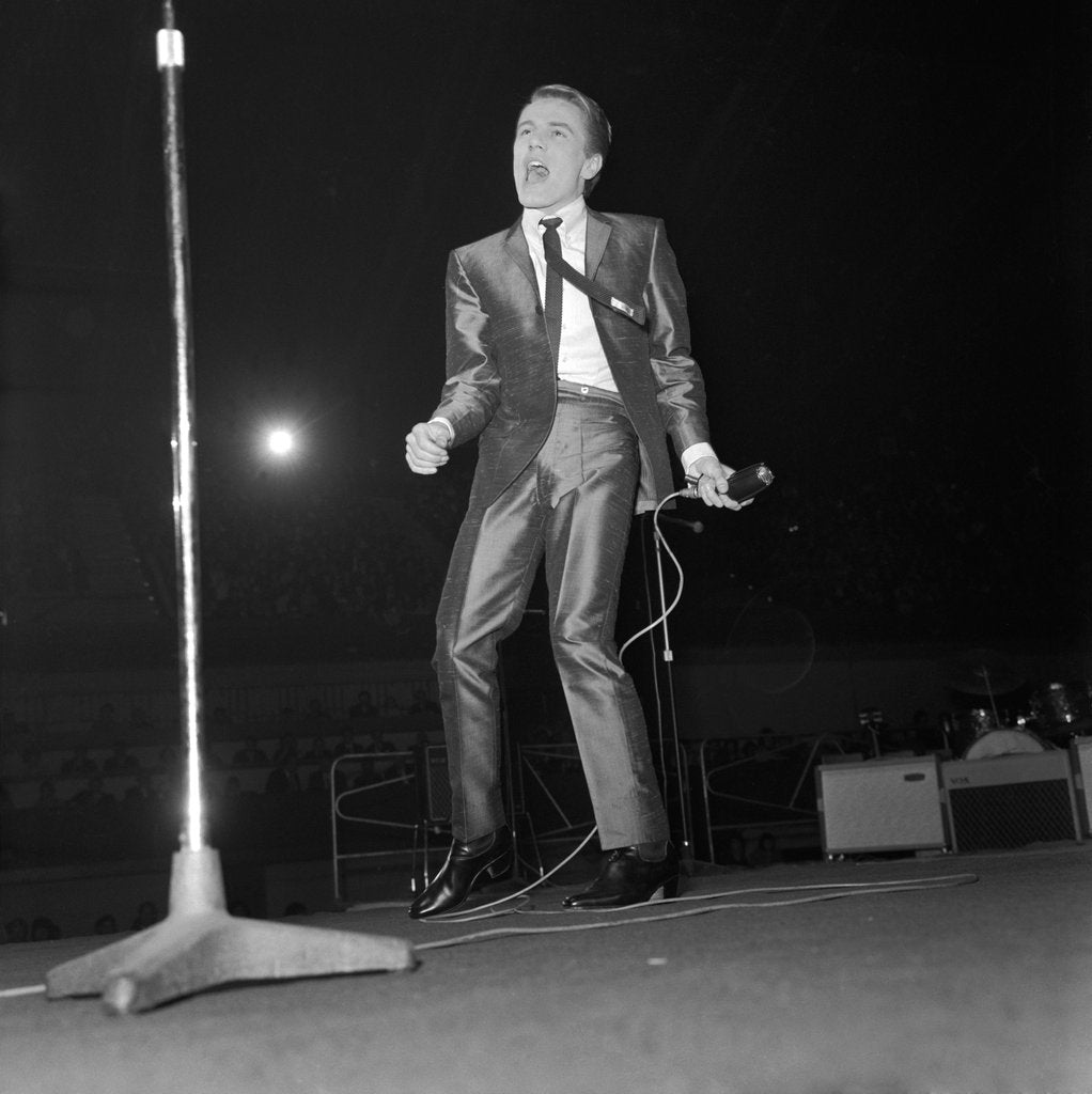 Detail of Adam Faith by Harry Hammond