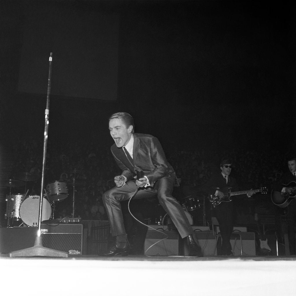 Detail of Adam Faith by Harry Hammond