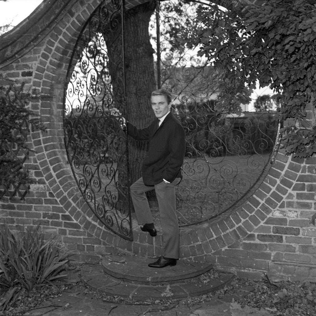 Detail of Adam Faith by Harry Hammond