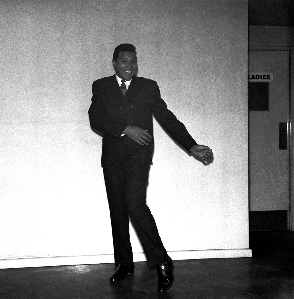 Detail of Chubby Checker by Harry Hammond