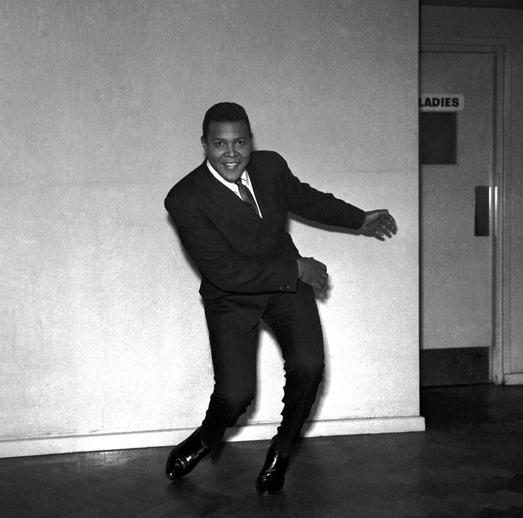 Detail of Chubby Checker by Harry Hammond