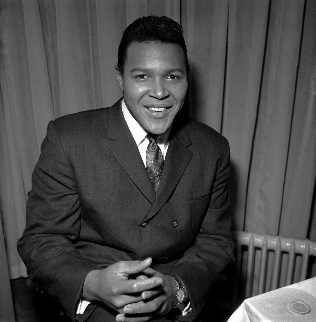 Detail of Chubby Checker by Harry Hammond