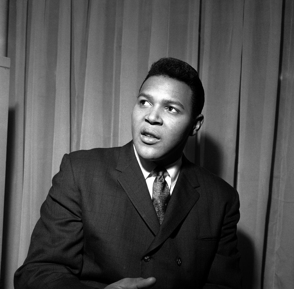 Detail of Chubby Checker by Harry Hammond