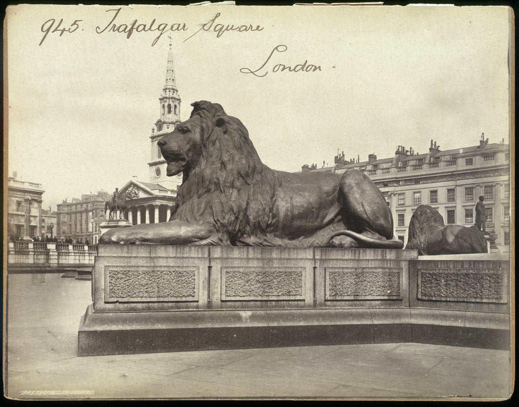 Detail of Stone Lion, Trafalgar Square, London by Francis Frith & Co.