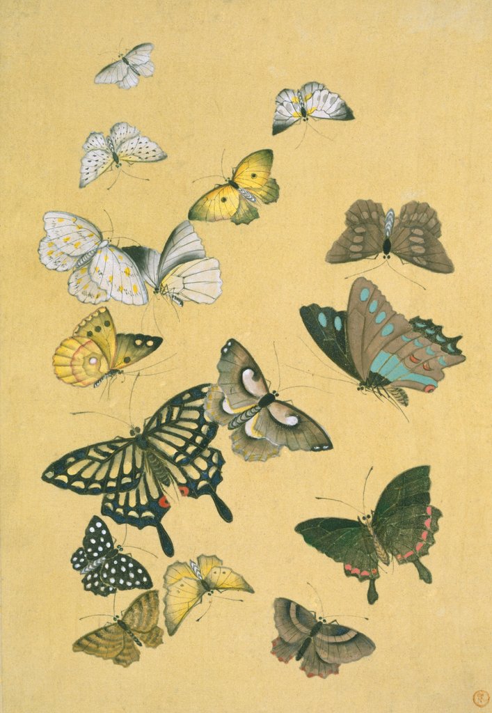 Detail of Butterflies. Japan, 19th century by Unknown