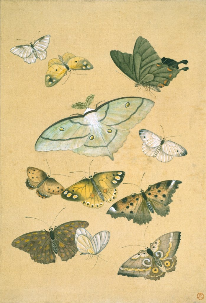 Detail of Butterflies. Japan, 19th century by Unknown