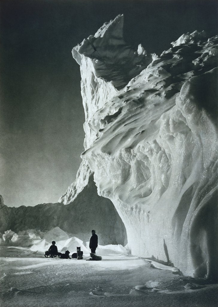 Detail of A Dog Team Resting by Herbert George Ponting