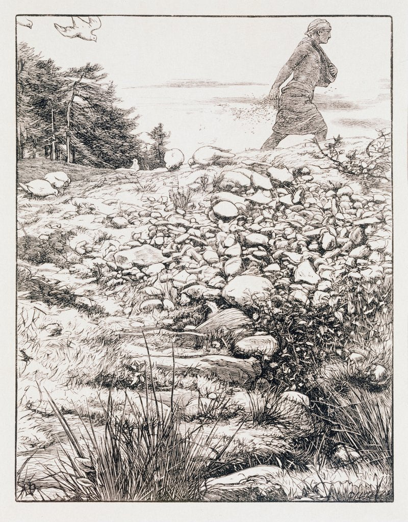 Detail of The parable of the sower by John Everett Millais