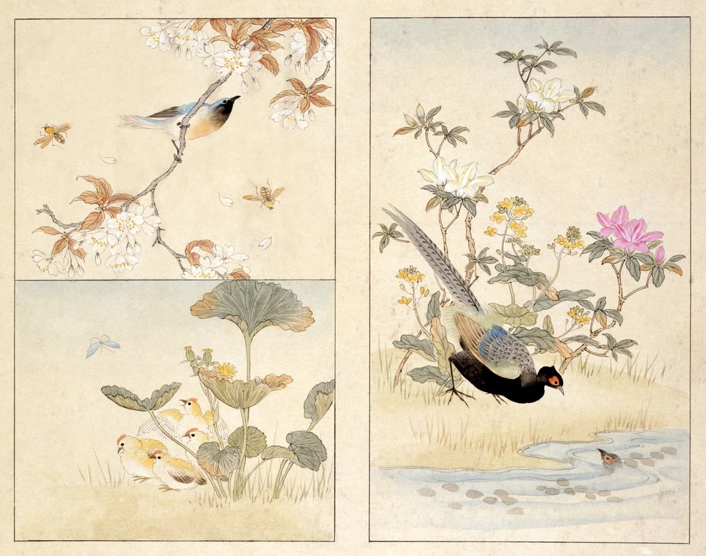 Detail of Three prints of birds and flowers by Unknown