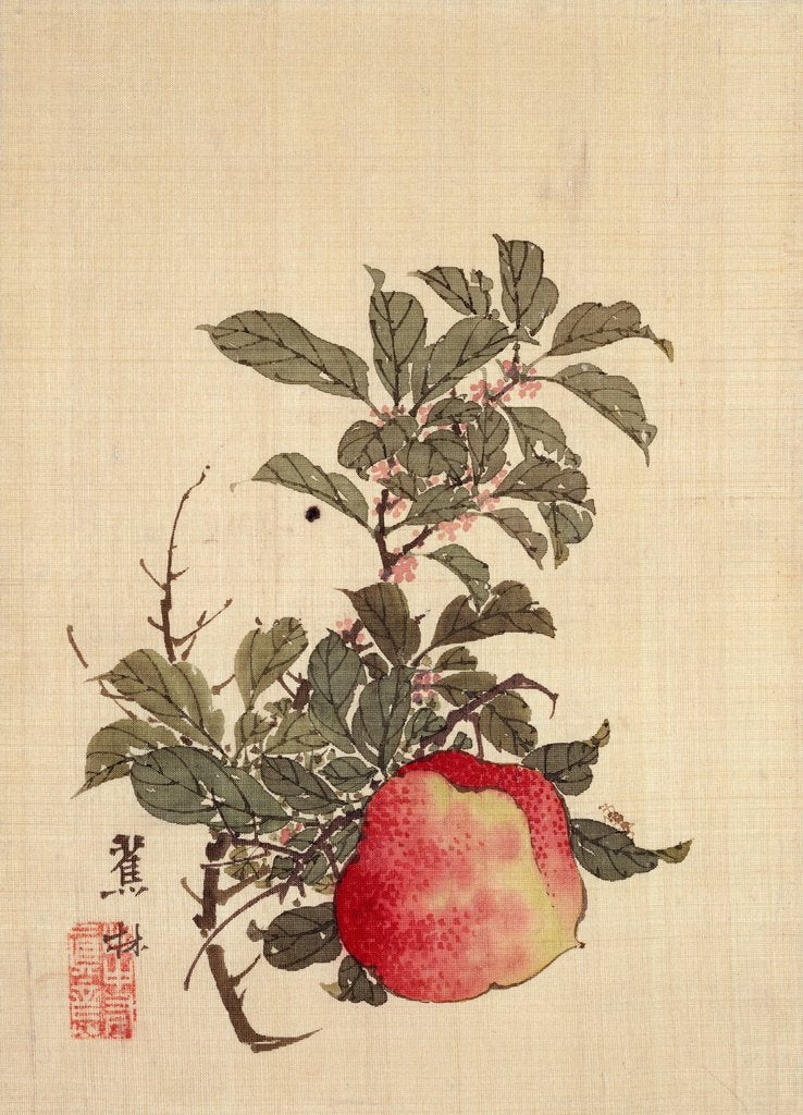 Detail of Apple, Pink Blossom and Foliage by Shorin