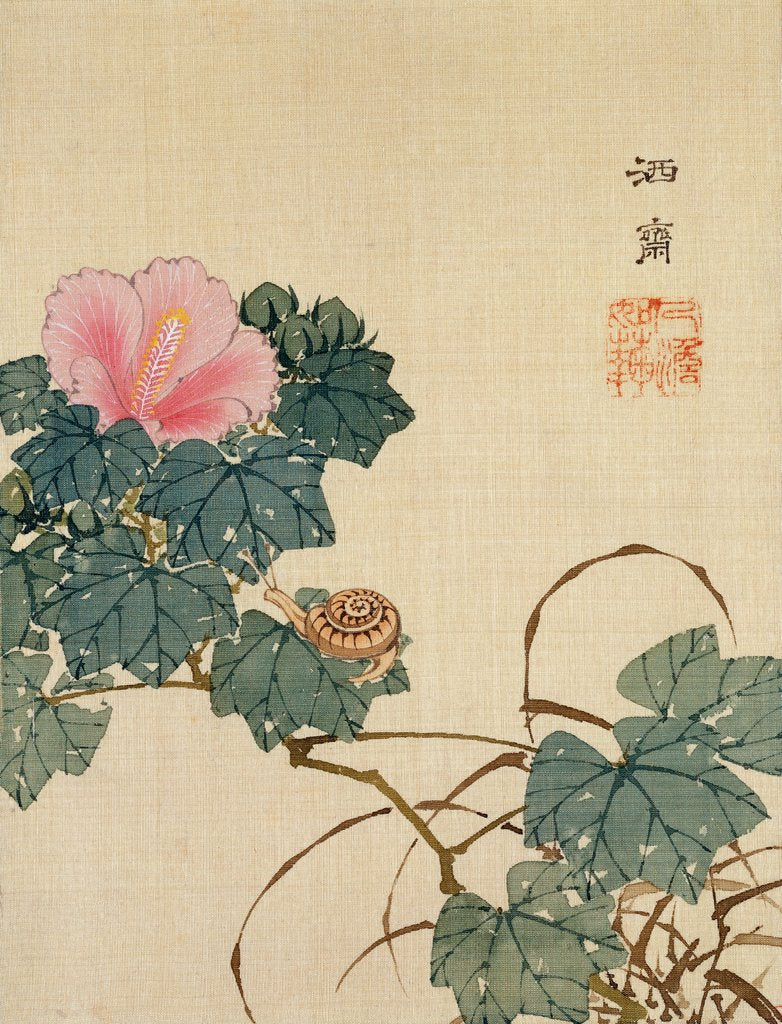 Detail of Snail, Pink Flower and Foliage by Shasai