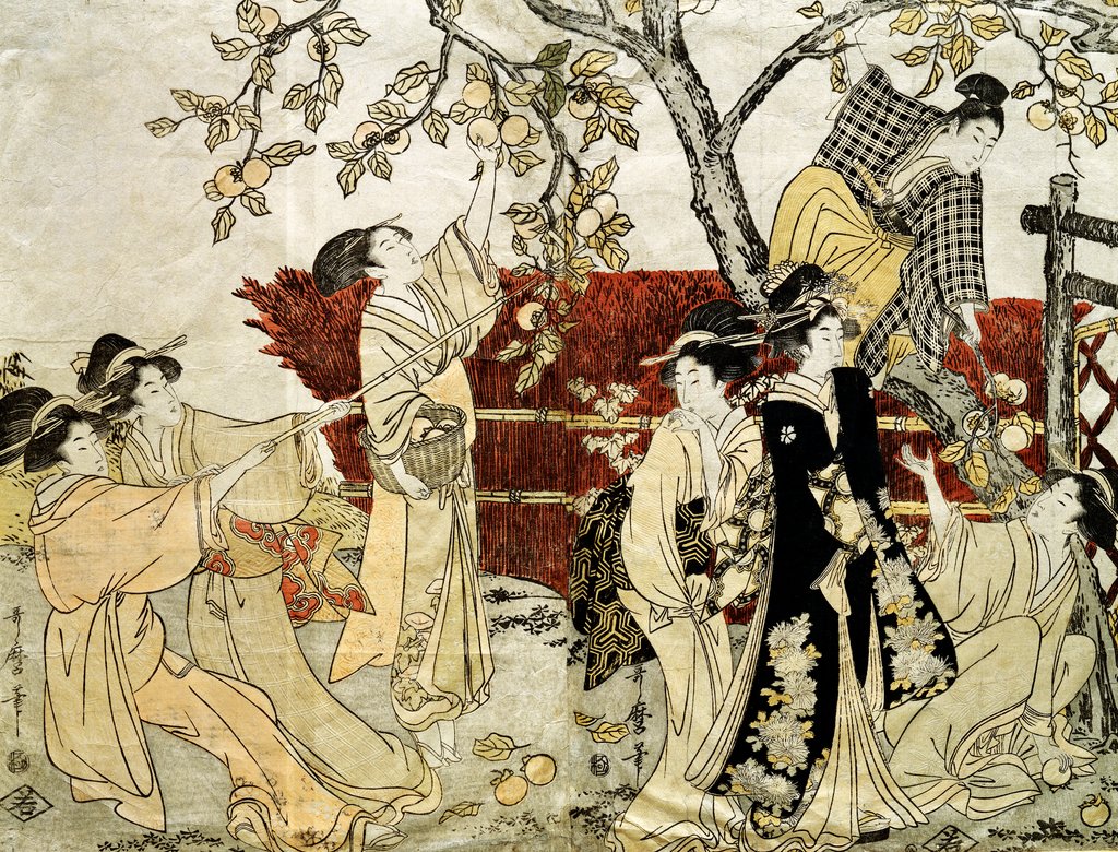 Detail of A Man and Six Women Gathering Persimmons by Kitagawa Utamaro