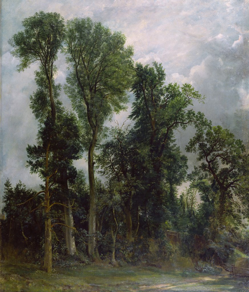 Detail of Trees at Hampstead by John Constable