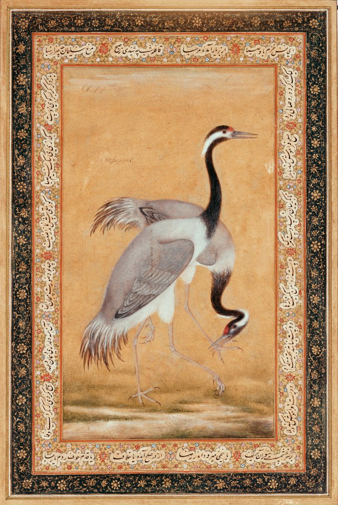 Detail of A Pair of Cranes by Ustad Mansur
