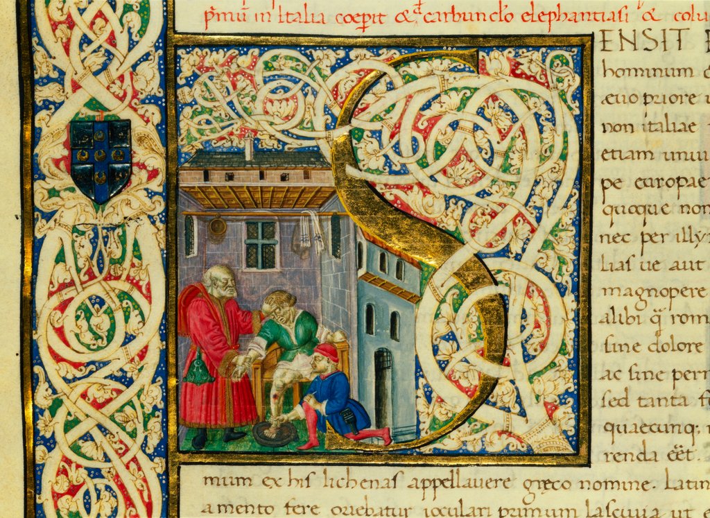 Detail of Initial S, from Pliny's Natural History. Italy, mid-15th century by Pliny the Elder