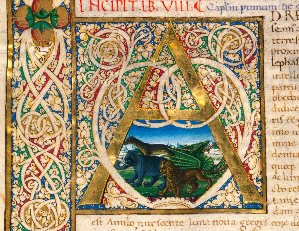 Detail of Initial A, from Pliny's Natural History. Italy, mid-15th century by Pliny the Elder