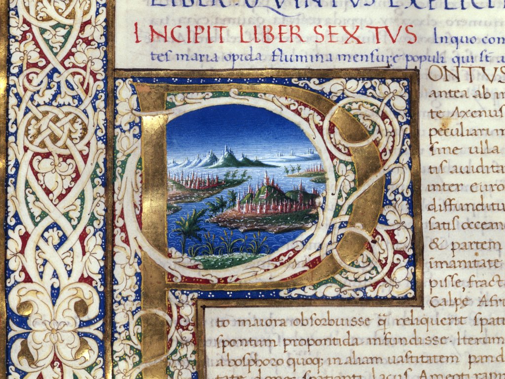 Detail of Initial P by Pliny The Elder