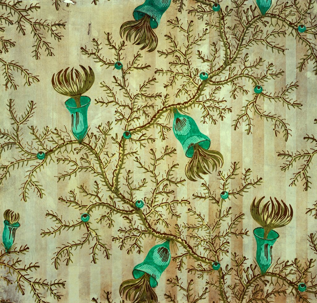 Detail of Thorn Damask wallpaper, detail by Unknown