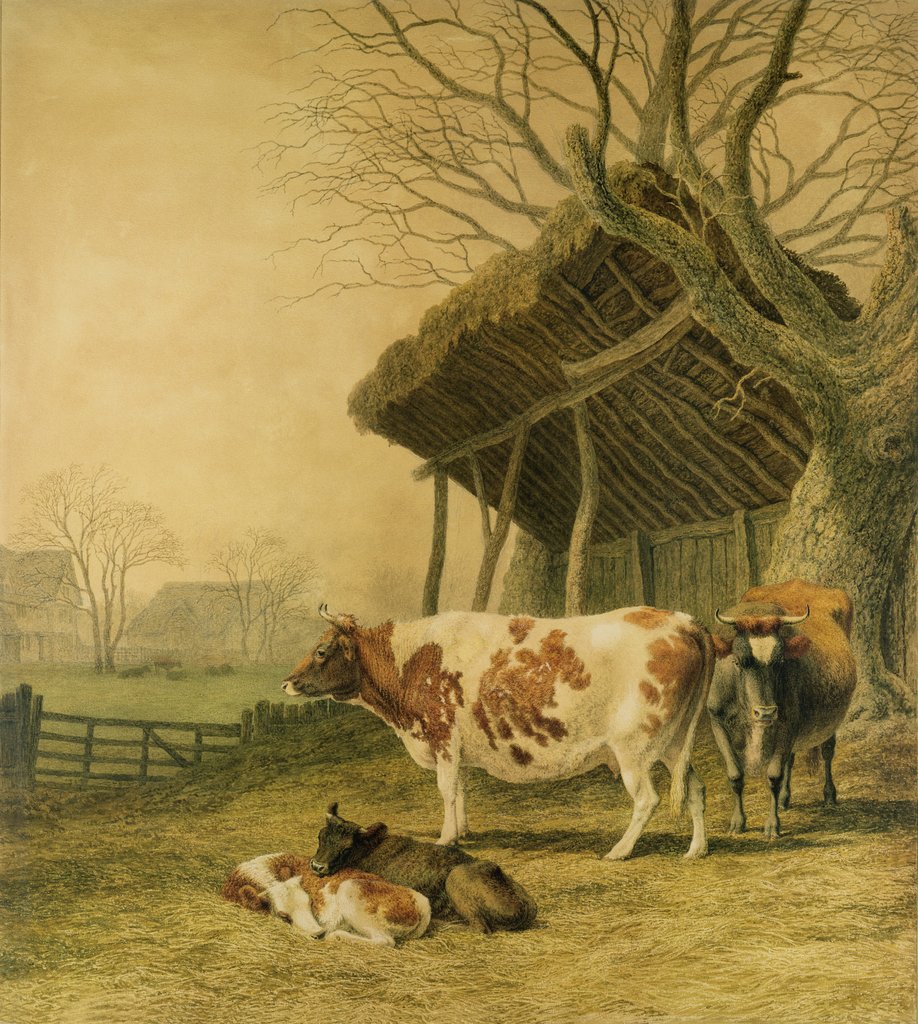 Detail of Alderney Cows and Calves by Robert Hills