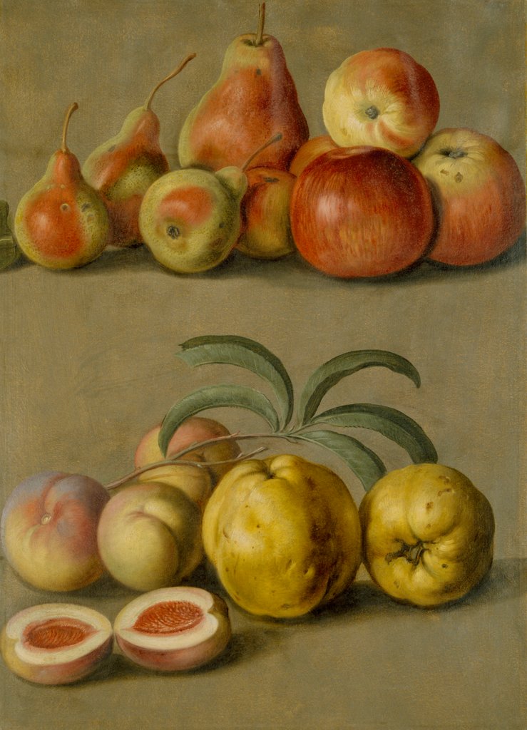 Detail of Apples by Plums & Peaches