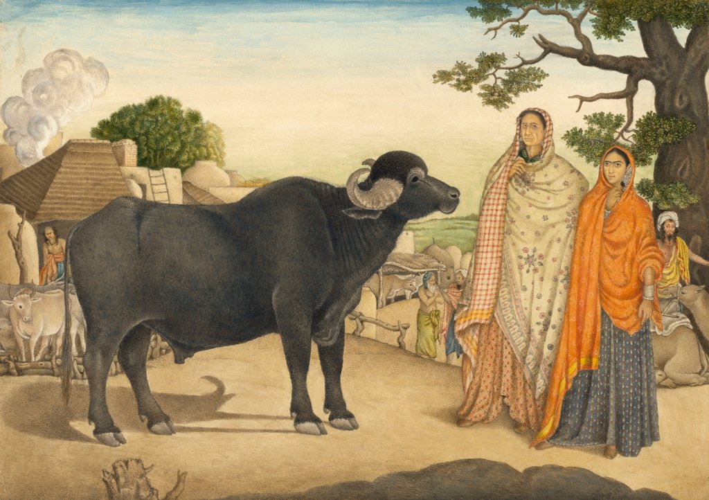 Detail of Two women and a buffalo in the village of Rania by Unknown