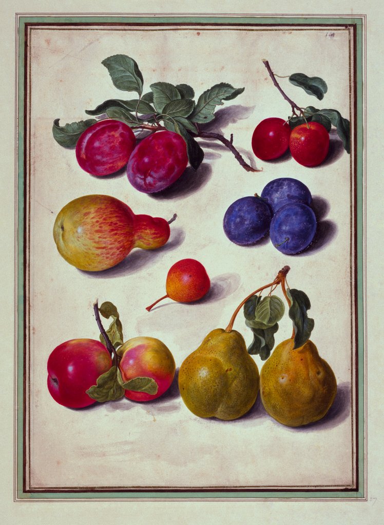 Detail of Plums by Apples and Pears