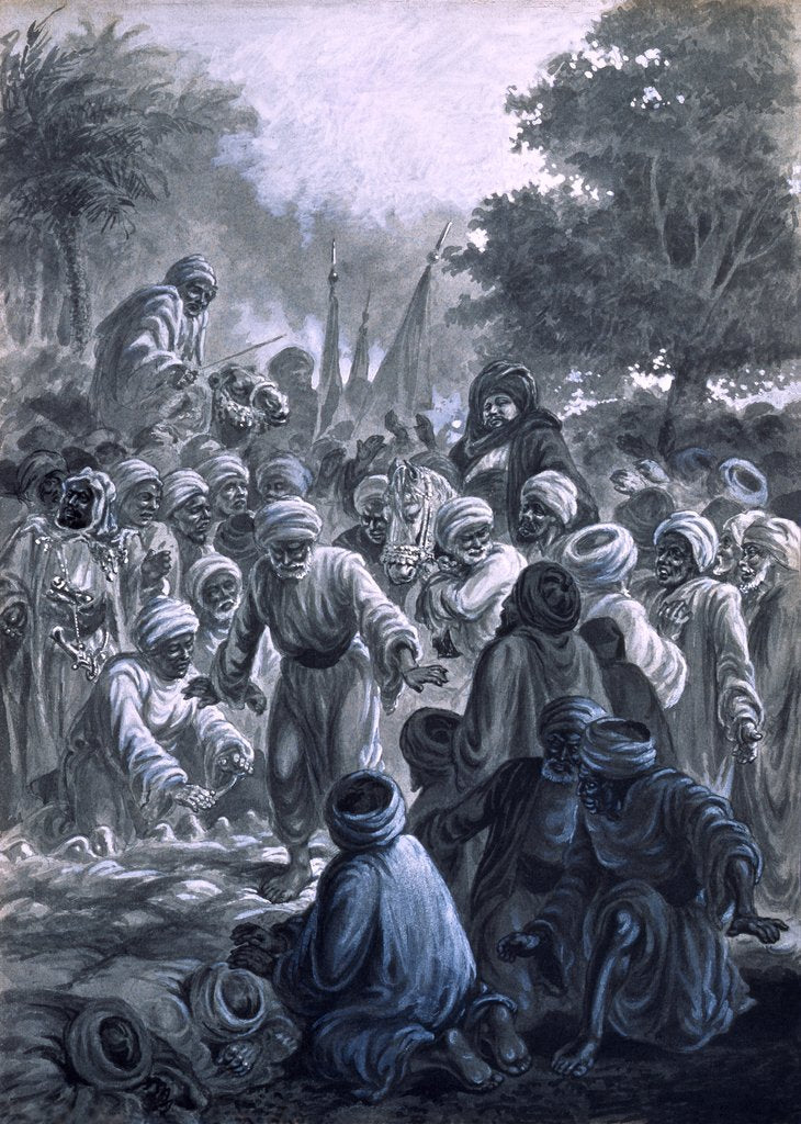 Detail of The Doseh, in Egypt by Frederick George