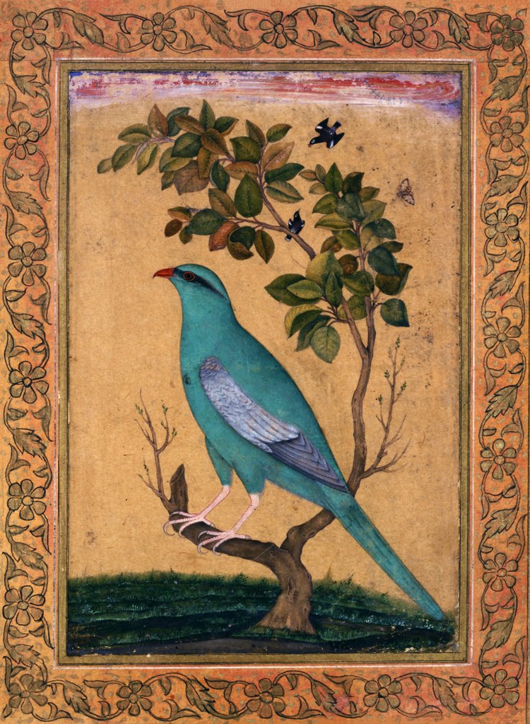 Detail of A Green Majore on a tree-trunk by Riza 'Abbasi