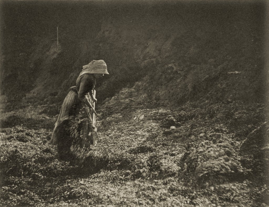 Detail of Woman Raking by Paul Martin