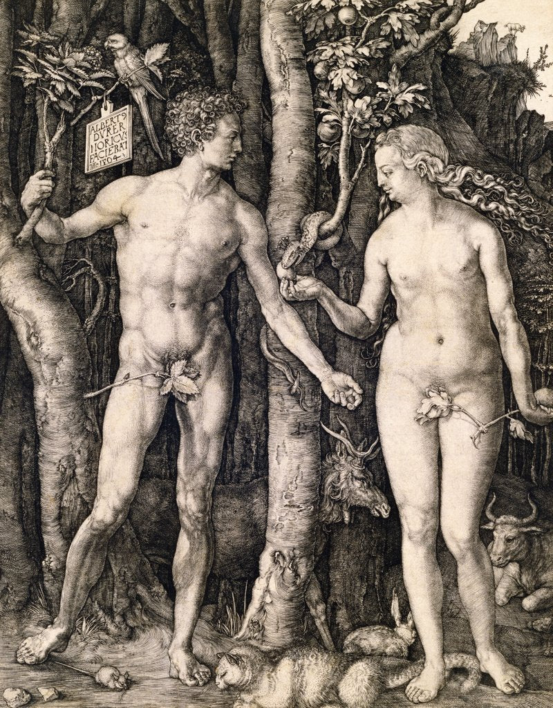 Detail of Adam and Eve by Albrecht Durer