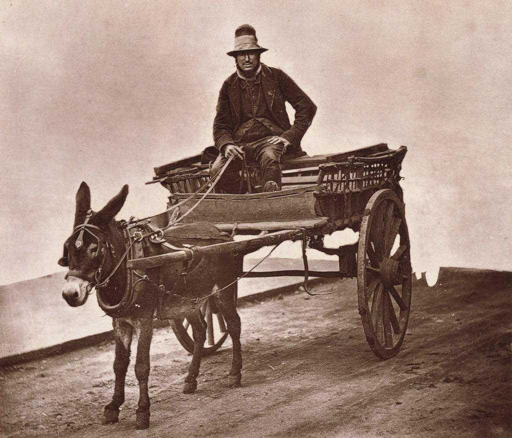 Detail of Black Jack by John Thomson