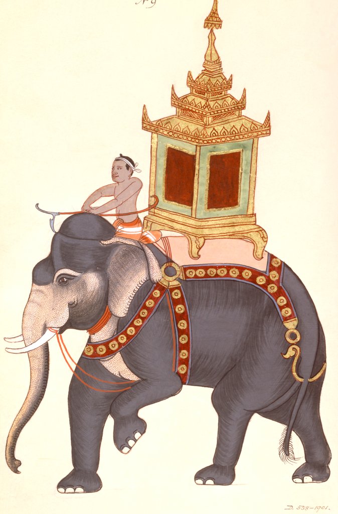 Detail of The King's elephant, Company Painting by Unknown